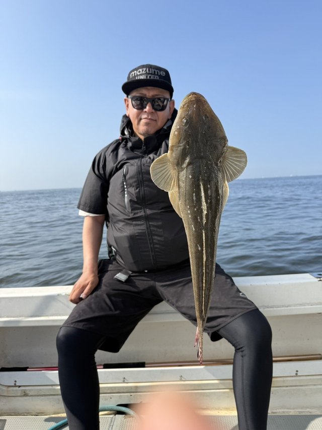 マゴチ