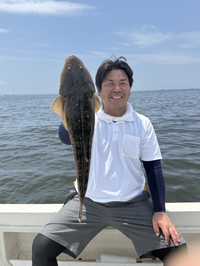 マゴチ