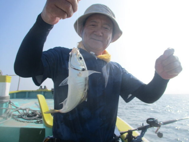 アジ(マアジ)