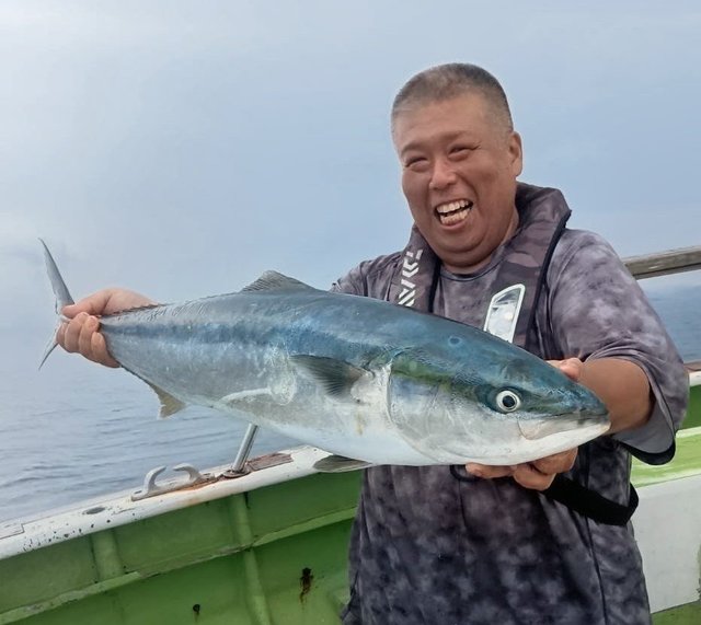 ワラサ(ブリ)