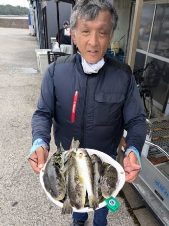 ショウサイフグ