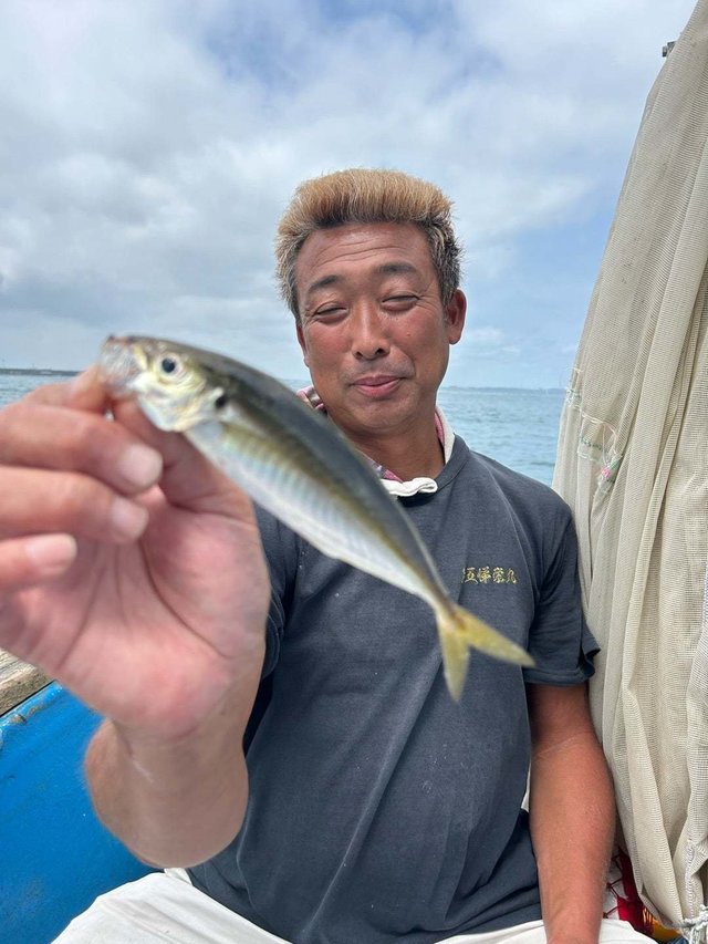アジ(マアジ)