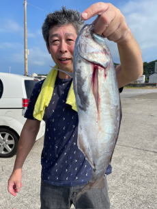 メダイ