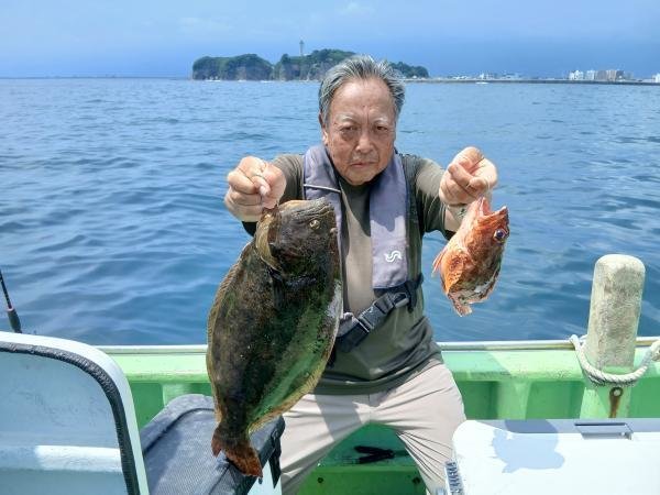カサゴ・ヒラメ
