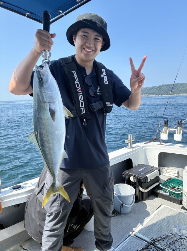 ハマチ(ブリ)