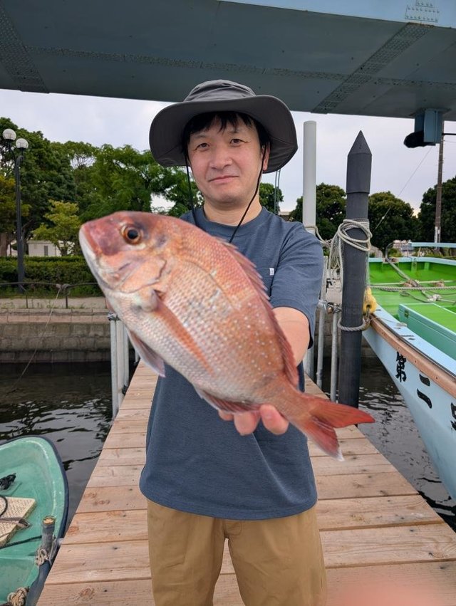マダイ