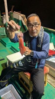 スルメイカ