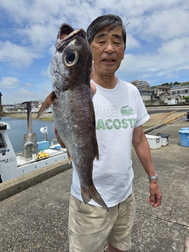 クロムツ
