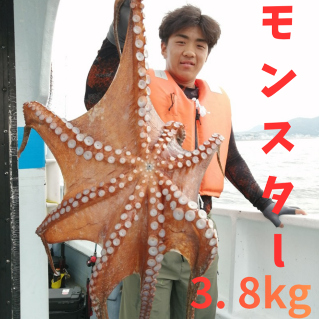 タコ(マダコ)