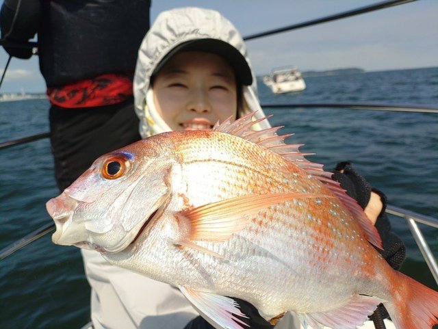 マダイ