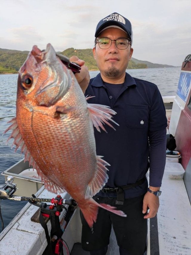 マダイ