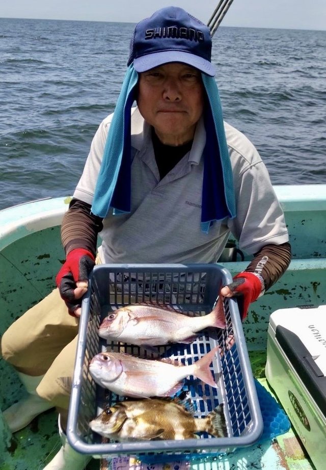 マダイ