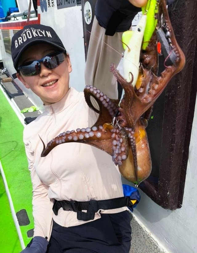 マダコ
