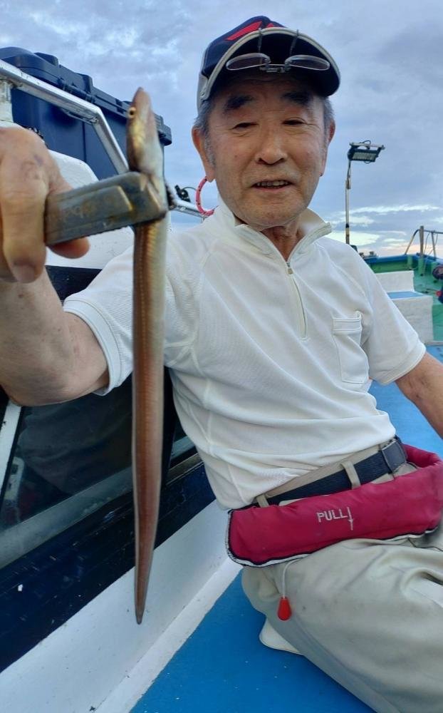 アナゴ(マアナゴ)