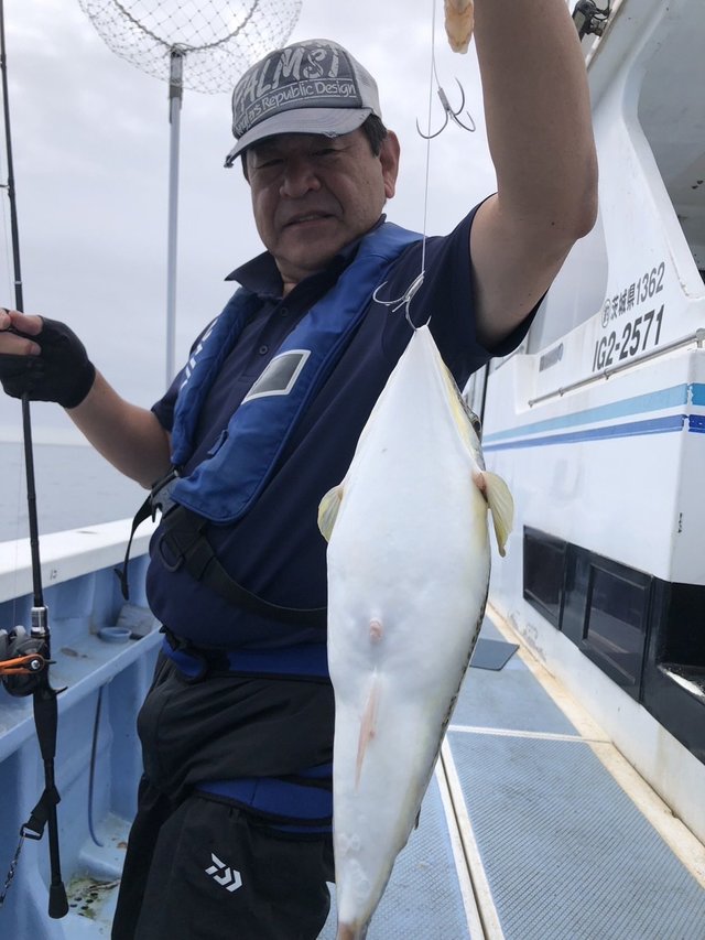 ショウサイフグ