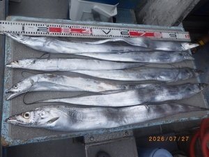 タチウオ