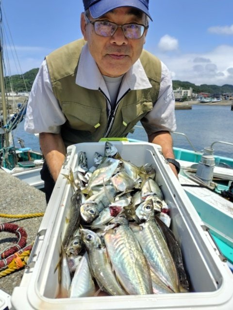 アジ(マアジ)
