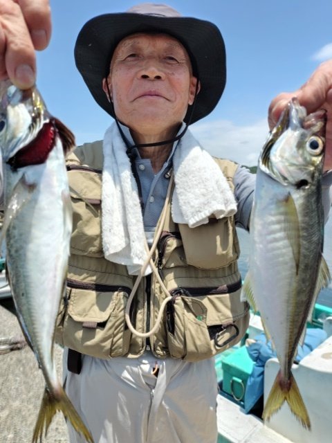 アジ(マアジ)