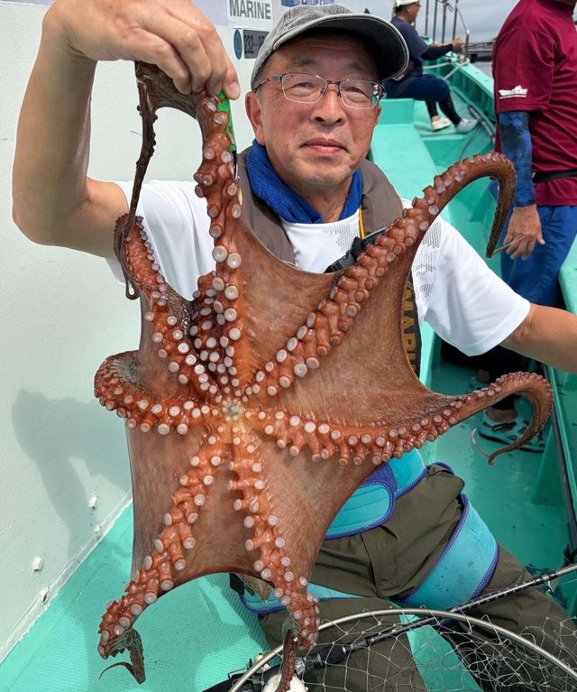 タコ(マダコ)