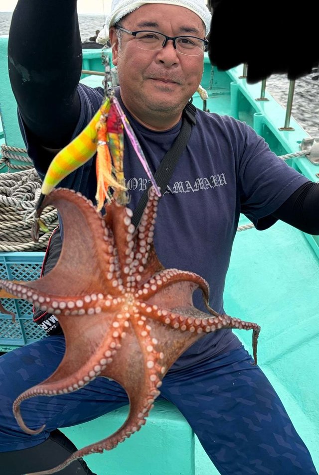 タコ(マダコ)