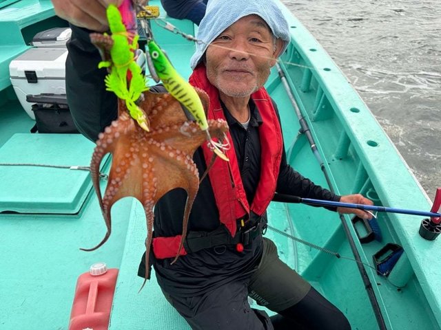 タコ(マダコ)