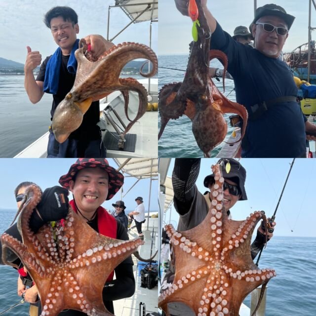 ハマチ(ブリ)・タコ(マダコ)