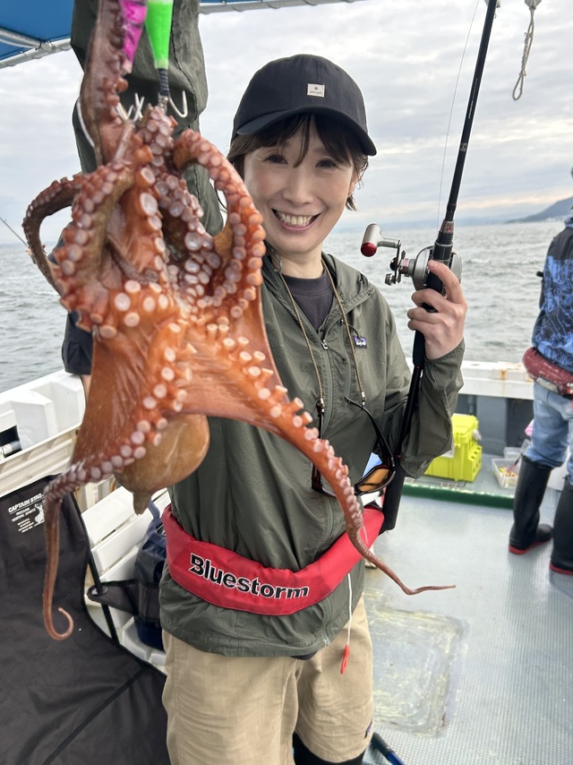 マダコ