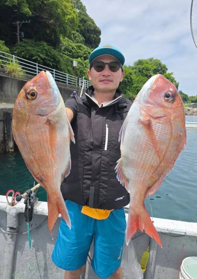 マダイ