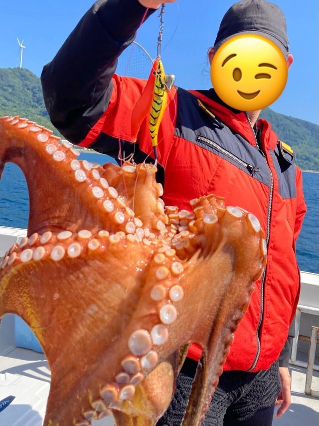 タコ(マダコ)