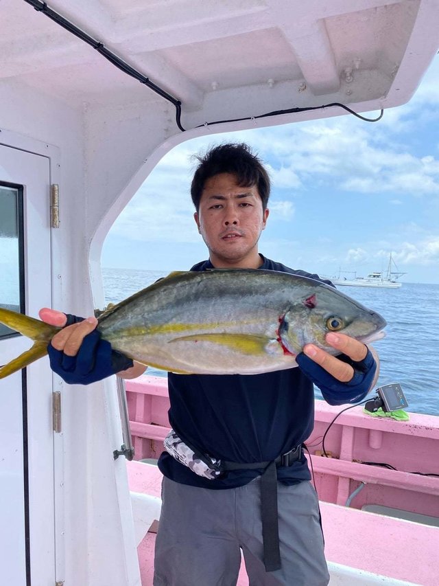 シマアジ