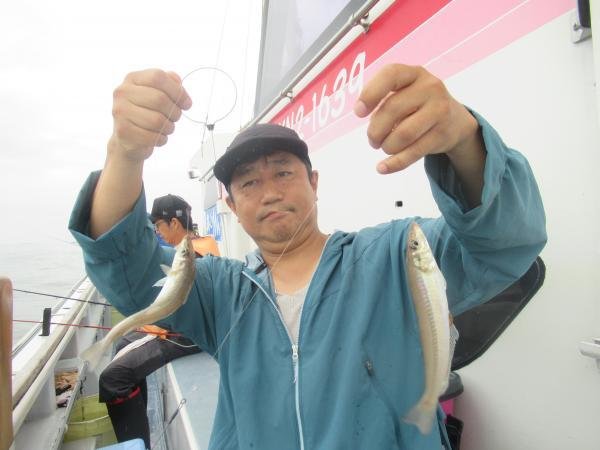シロギス