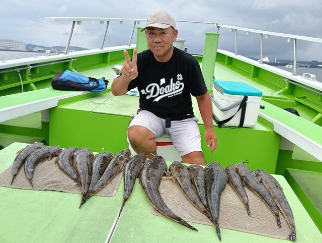 マゴチ