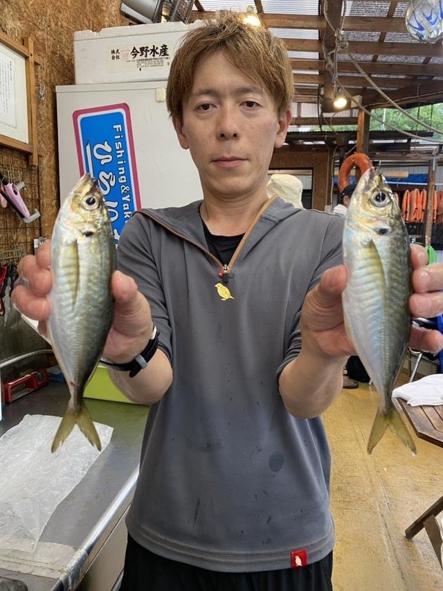 アジ(マアジ)