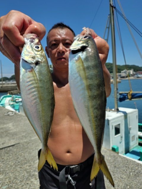 アジ(マアジ)