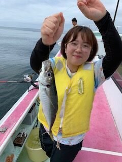 アジ(マアジ)