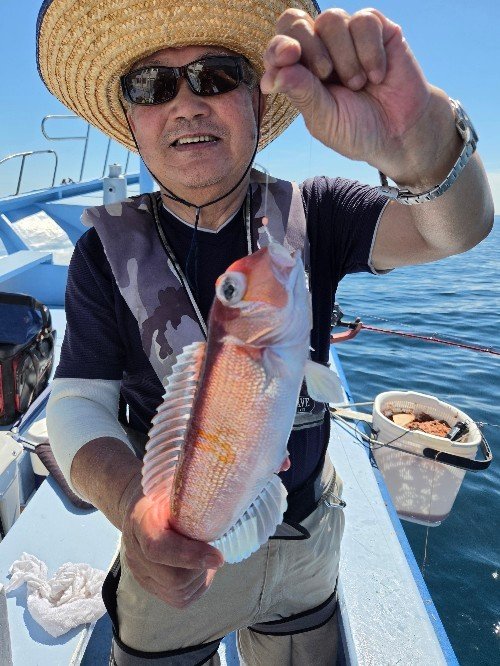 アマダイ(アカアマダイ)
