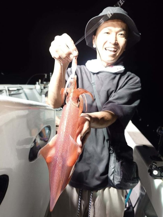 ケンサキイカ