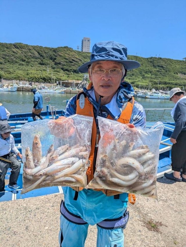 シロギス