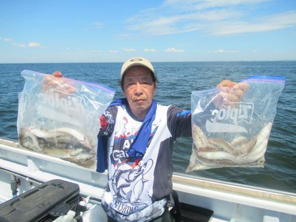 シロギス