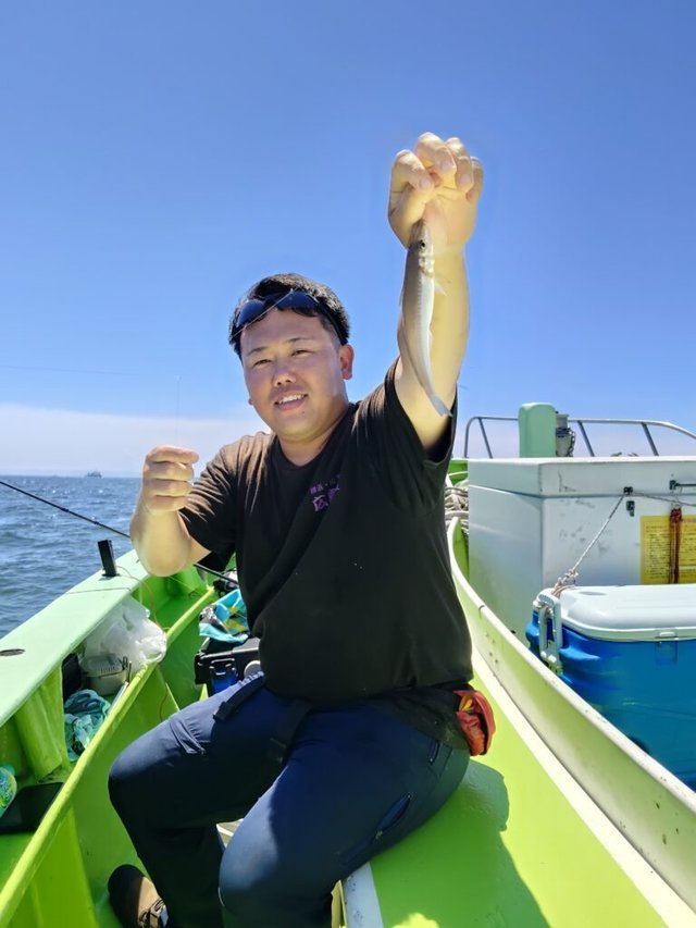 シロギス