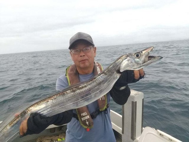 タチウオ