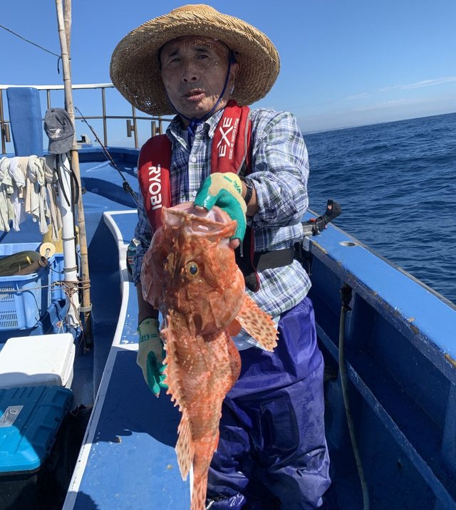 オニカサゴ