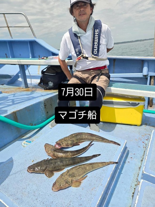 マゴチ