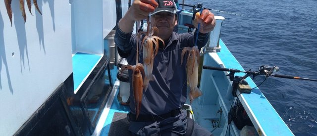 スルメイカ