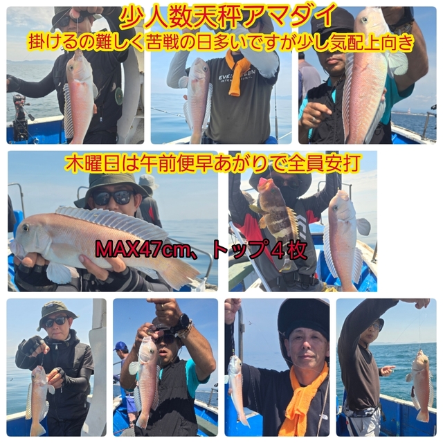 シロアマダイ