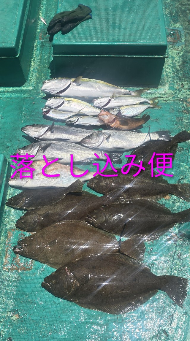 マダイ・ハマチ(ブリ)・ヒラメ