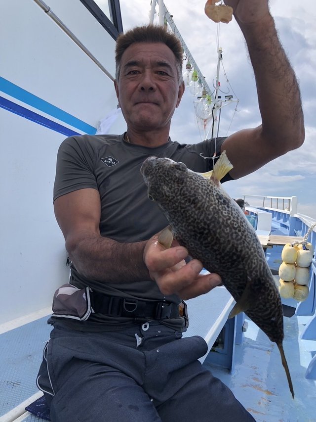 ショウサイフグ
