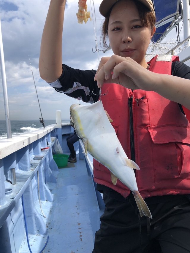 ショウサイフグ