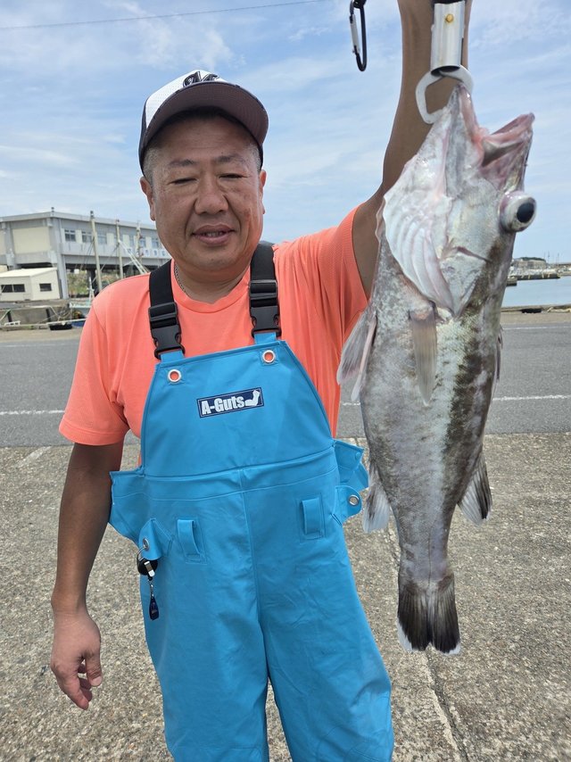 アラ