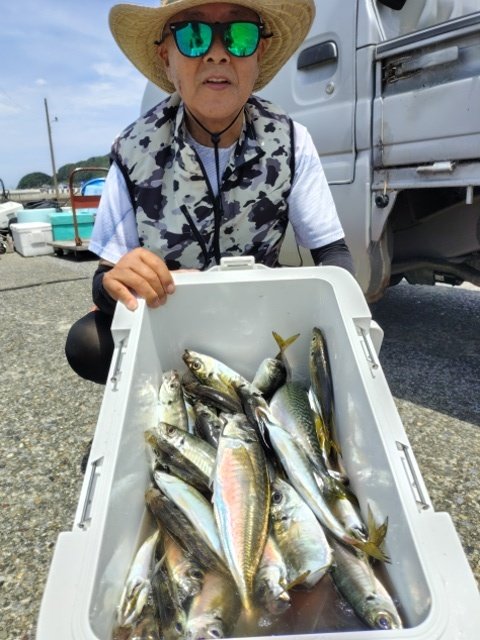アジ(マアジ)・サバ(ゴマサバ)